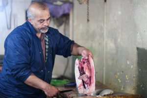 گزارش تصویری خورنا از بازار آبزیان بندر ماهشهر – عکاس: ناصر عبادی