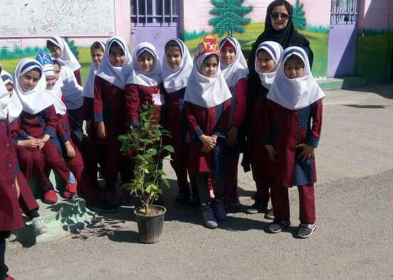 فرهنگ سازی کاشت نهال توسط مدیریت منطقه۲ شهرداری بندرماهشهر /۱۰۰۰اصله نهال توسط دانش آموزان کاشته شد